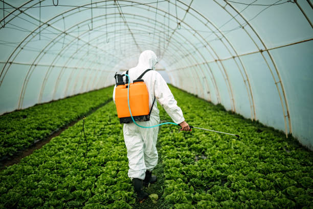 Best Local Pest Control Services  in Duluth, GA