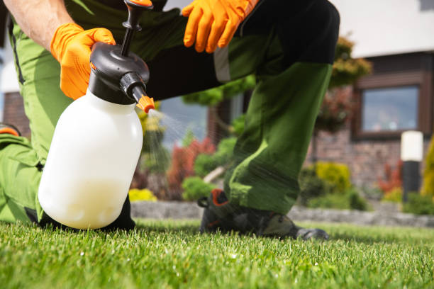 Best Pest Control Near Me in Duluth, GA