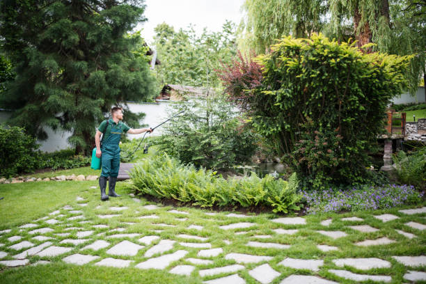 Best Wasp Removal Services  in Duluth, GA