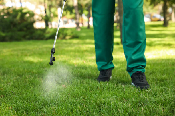 Best Insect Control  in Duluth, GA