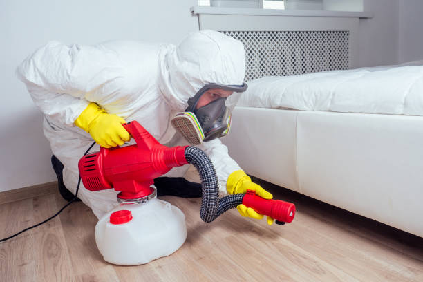 Trusted Duluth, GA Pest Control Experts