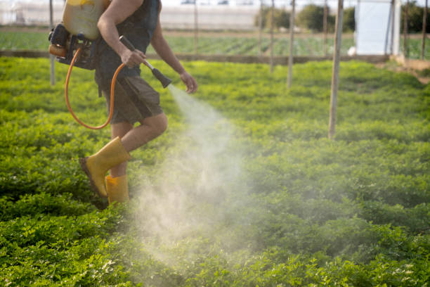 Best Mosquito Control Services  in Duluth, GA