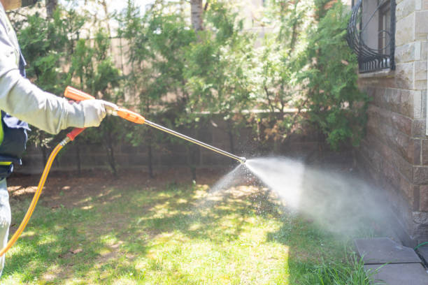 Best Local Pest Control Services  in Duluth, GA