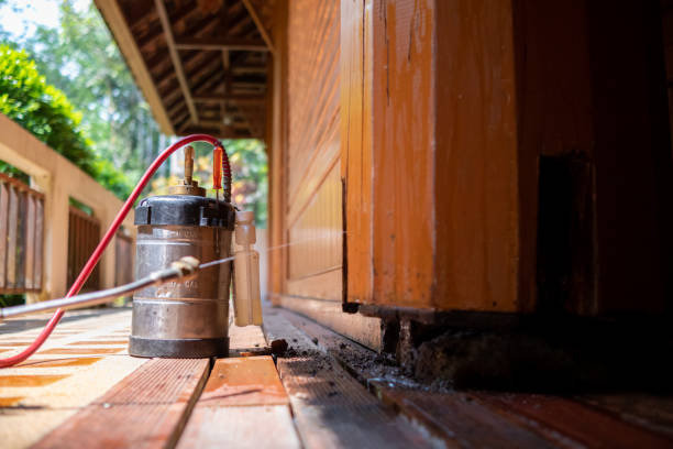 Best Affordable Exterminators  in Duluth, GA