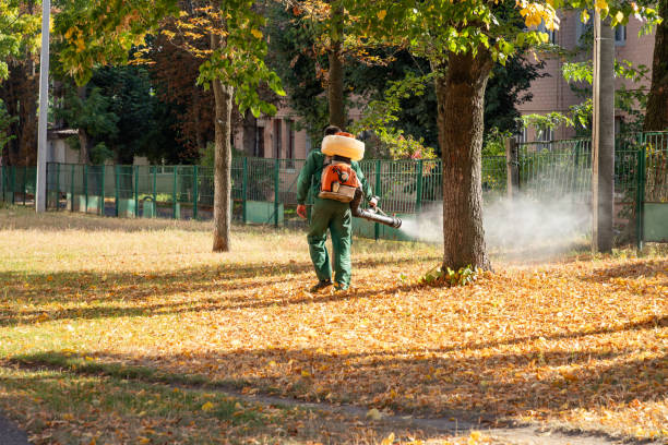 Best Rodent Control Near Me  in Duluth, GA