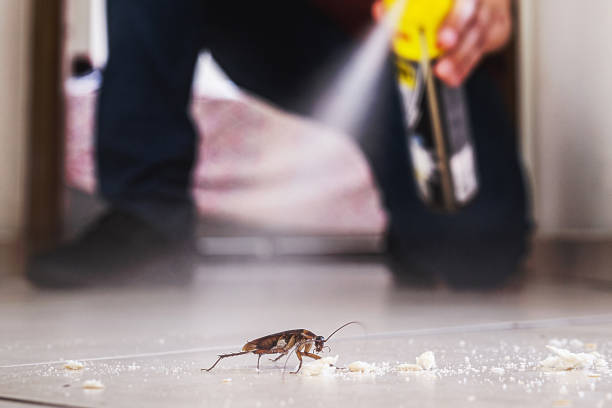 Best Commercial Pest Control Services  in Duluth, GA